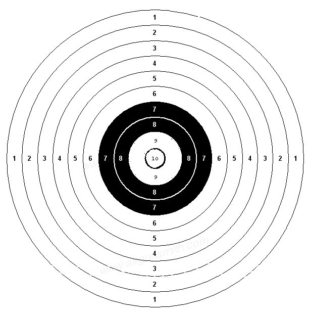 NEW 10_meter_airpistol2cropped.gif
