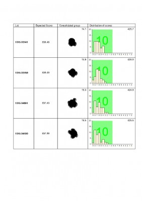 40 shot test of stocked rifle in recoil rest.jpg